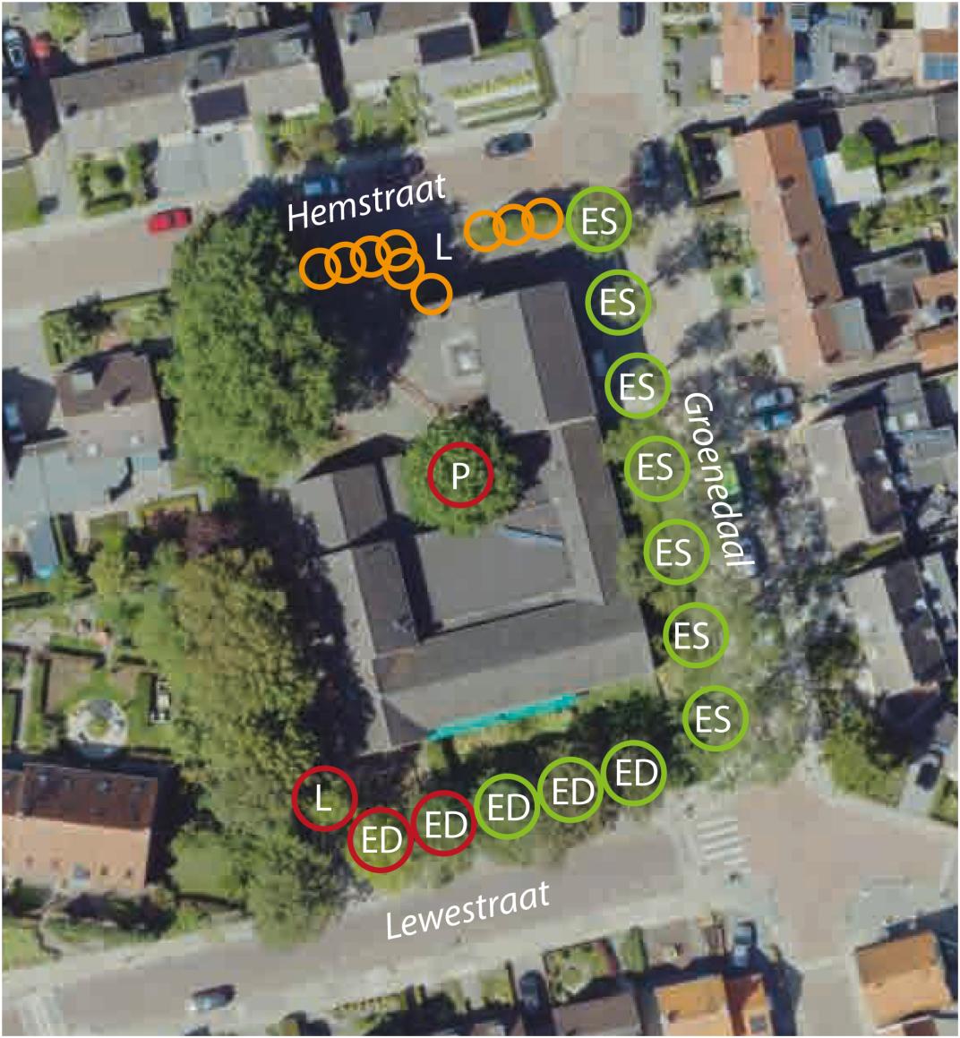 bomen bouwplan Groenedaal
